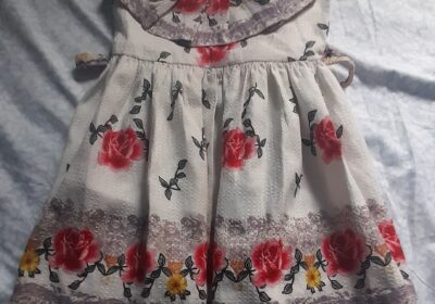 c1f2f188-5f1a-4dd4-901a-b27699079373